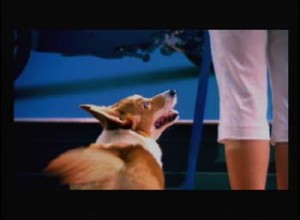 1380946000-1392233626