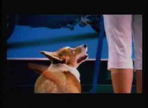 1380946000-1579368888