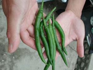 1380946003-1766510312