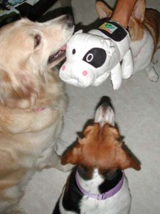 1380946013-3281741741