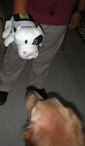 1380946014-929192001