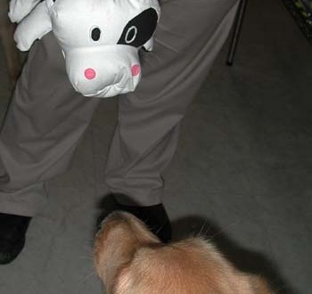 1380946014-929192001