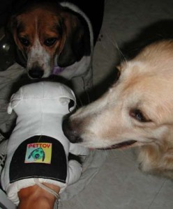 1380946015-1387563882