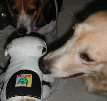 1380946015-1387563882