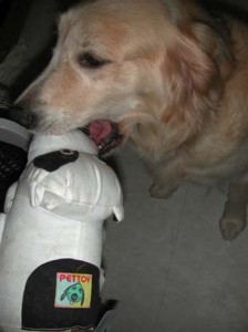 1380946015-1555726238