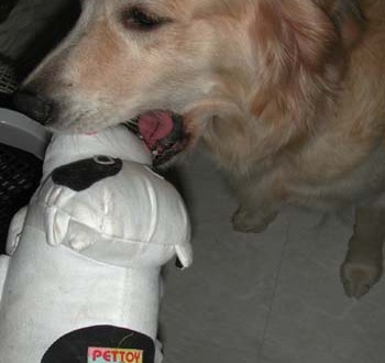 1380946015-1555726238