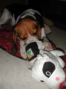 1380946016-1674869833