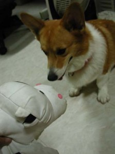 1380946016-1901497944