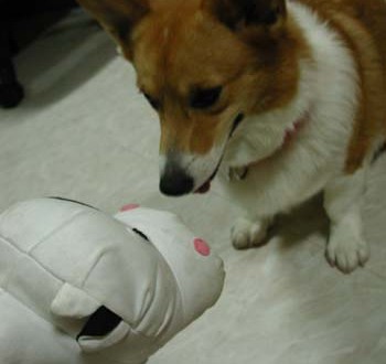 1380946016-1901497944