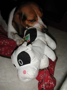 1380946017-4088765814