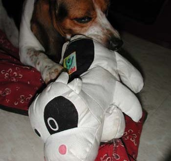 1380946017-4088765814