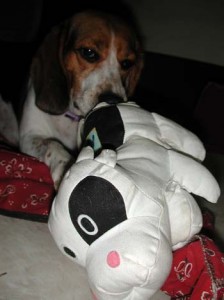 1380946017-704179683