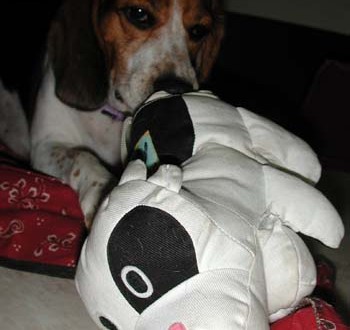 1380946017-704179683