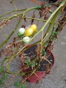 1380946019-1112493349