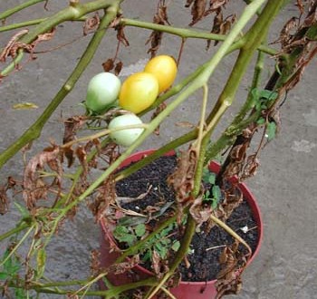 1380946019-1112493349