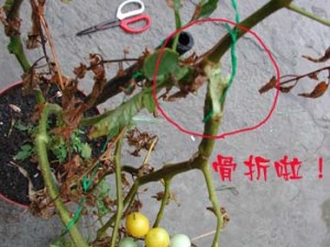 1380946019-1520839119