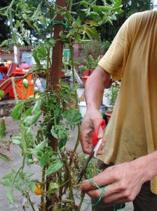 1380946021-1943609846