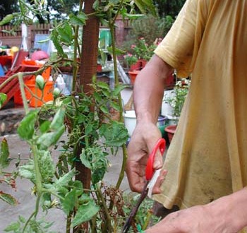 1380946021-1943609846