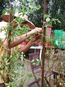 1380946021-4270460655