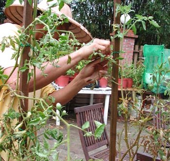 1380946021-4270460655