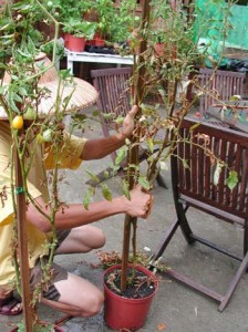 1380946022-1116773893