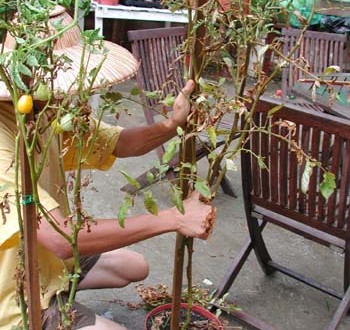 1380946022-1116773893