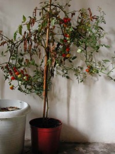 1380946023-3723589483