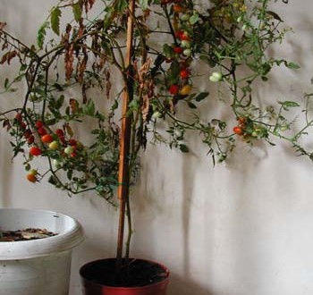 1380946023-3723589483