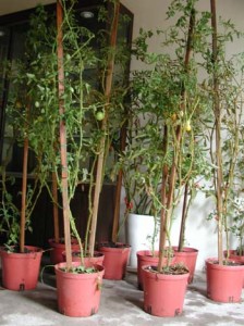 1380946023-652552577