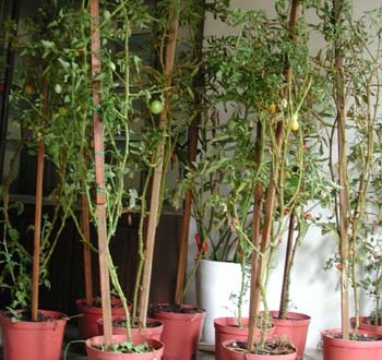 1380946023-652552577