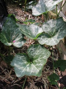 1380946024-851757930