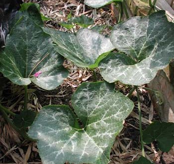 1380946024-851757930