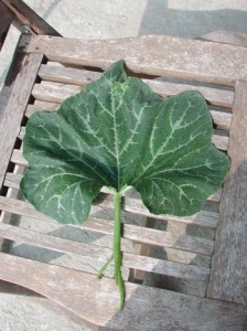 1380946025-3389116321