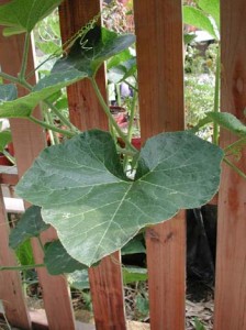 1380946025-3704490429