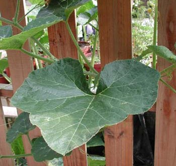 1380946025-3704490429