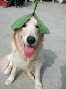 1380946026-1138168373