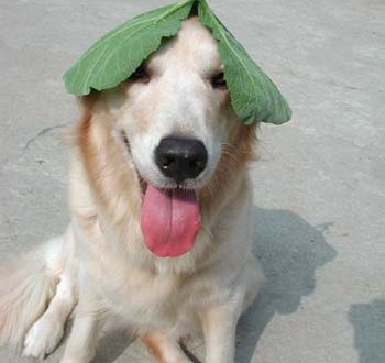 1380946026-1138168373