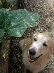 1380946027-200948509