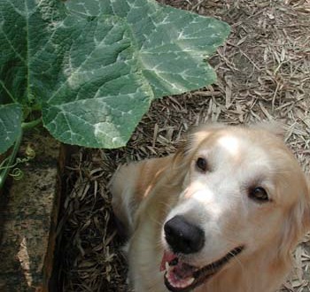 1380946027-200948509