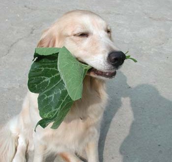 1380946027-3471808982