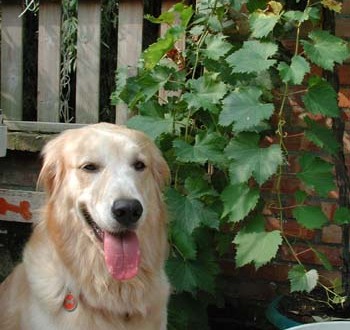 1380946027-792166176