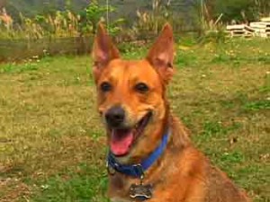 1380946028-567323864