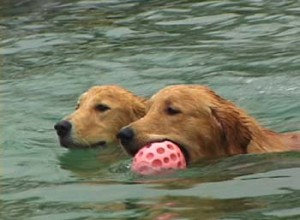 1380946029-3185198143