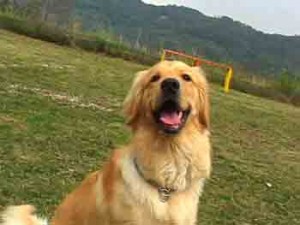 1380946029-458664905