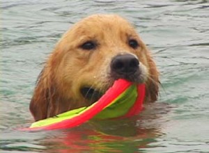 1380946030-3058991405