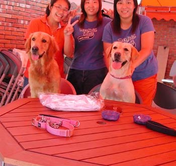 1380946031-721213085