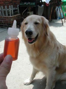 1380946032-363525792