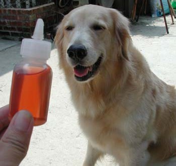 1380946032-363525792