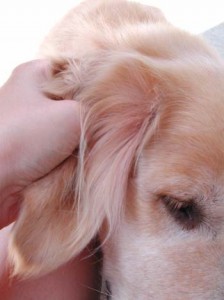 1380946033-1144514906