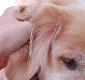 1380946033-1144514906